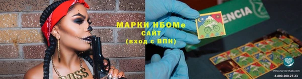 тгк Новодвинск