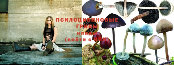 экстази Новокубанск