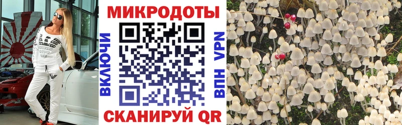 Галлюциногенные грибы Psilocybine cubensis omg онион Орск