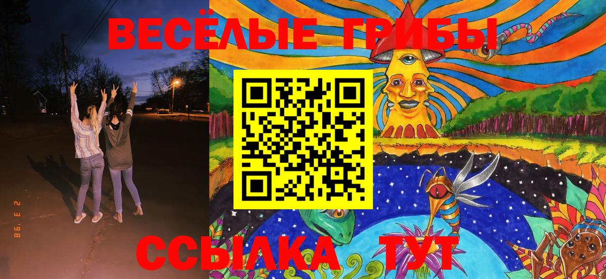 Орск  Псилоцибиновые грибы GOLDEN TEACHER  Вход с VPN  Псилоцибиновые грибы Psilocybine cubensis 