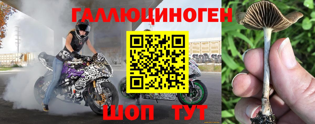 Галлюциногенные грибы мицелий Орск